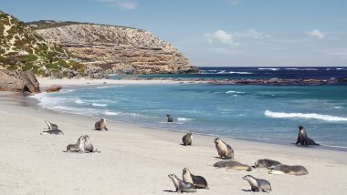 Kangaroo Island, SA