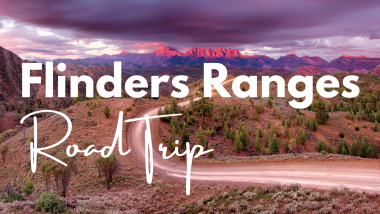 Flinders Ranges Road Trip